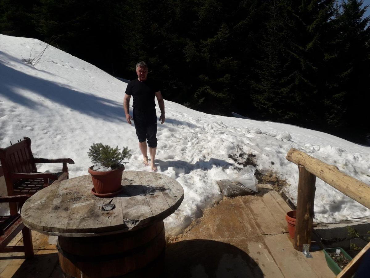 Kuca Za Odmor "Djurovic" Lägenhet Kopaonik Exteriör bild