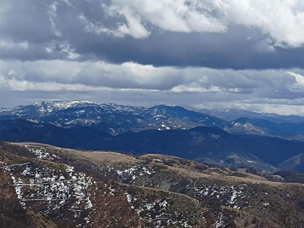 Kuca Za Odmor "Djurovic" Lägenhet Kopaonik Exteriör bild
