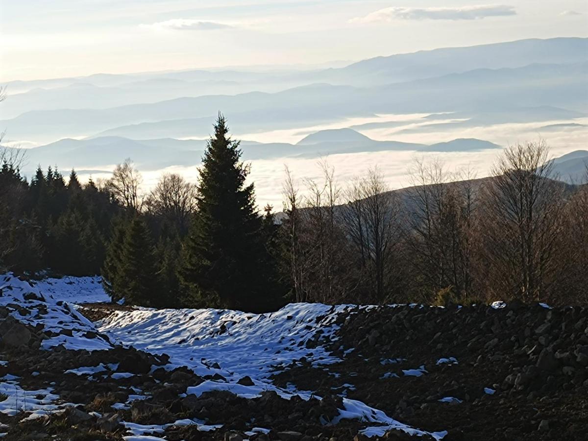 Kuca Za Odmor "Djurovic" Lägenhet Kopaonik Exteriör bild